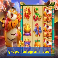 grupo telegram sao jose do rio preto