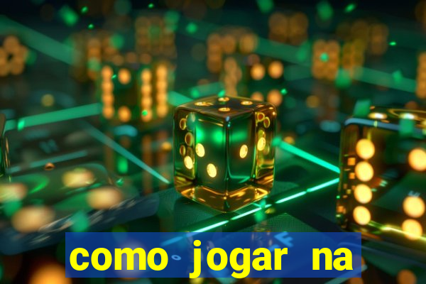 como jogar na lotinha do jogo do bicho