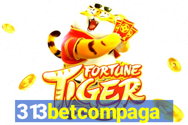 313betcompaga