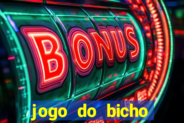 jogo do bicho crash bingo