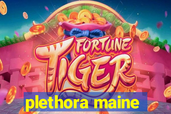 plethora maine