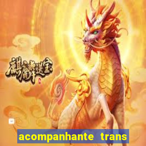 acompanhante trans em santos