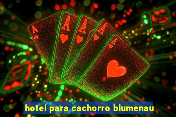 hotel para cachorro blumenau