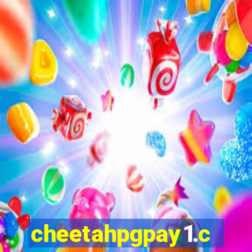 cheetahpgpay1.com