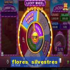 flores silvestres desbravadores desbravadores 25 flores silvestres e seus nomes