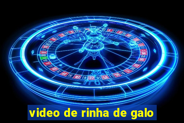 video de rinha de galo