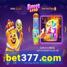 bet377.com