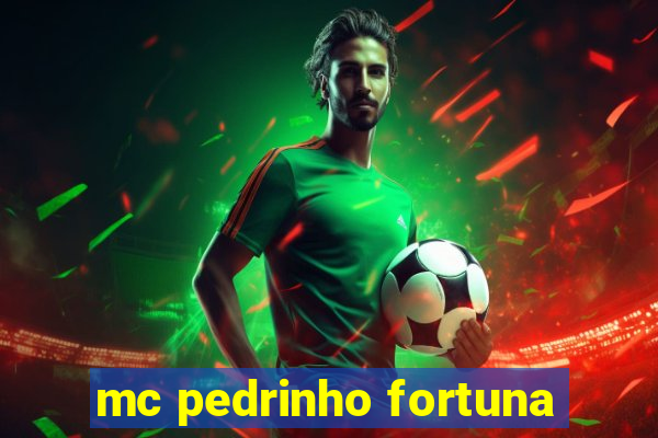 mc pedrinho fortuna