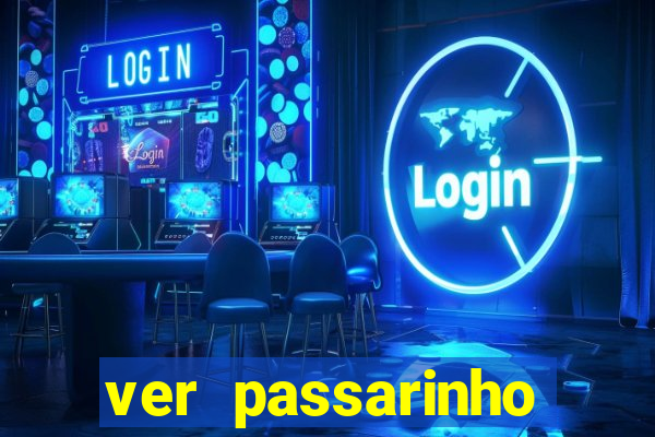 ver passarinho morto significado espiritual