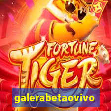 galerabetaovivo