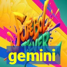 gemini-pp.com