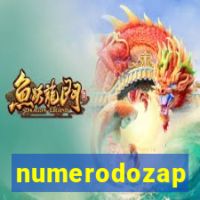 numerodozap