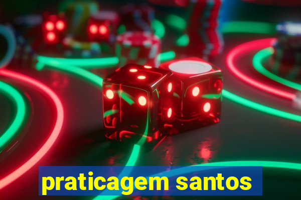 praticagem santos